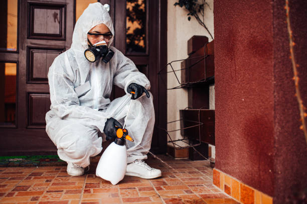 Reliable Cockroach Control contractor in Los Altos, CA by Nex Pest Control